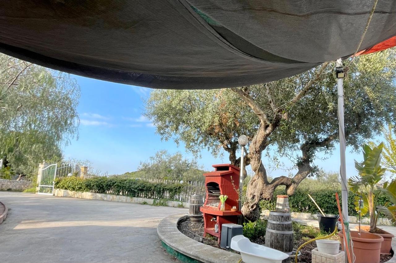 Music House A Castellana Grotte Confinante Via Per Turi 500M Dalle Grotte Eksteriør bilde