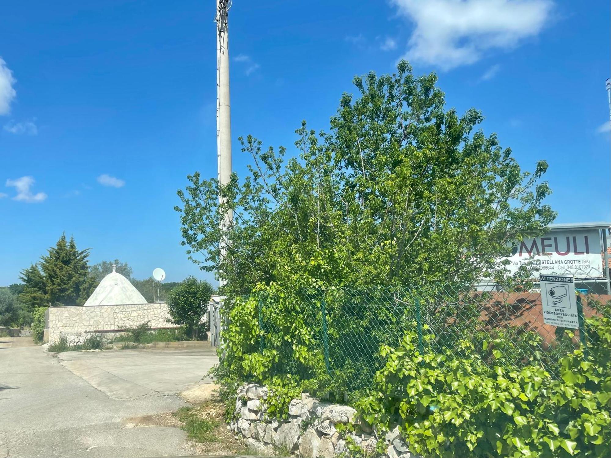 Music House A Castellana Grotte Confinante Via Per Turi 500M Dalle Grotte Eksteriør bilde