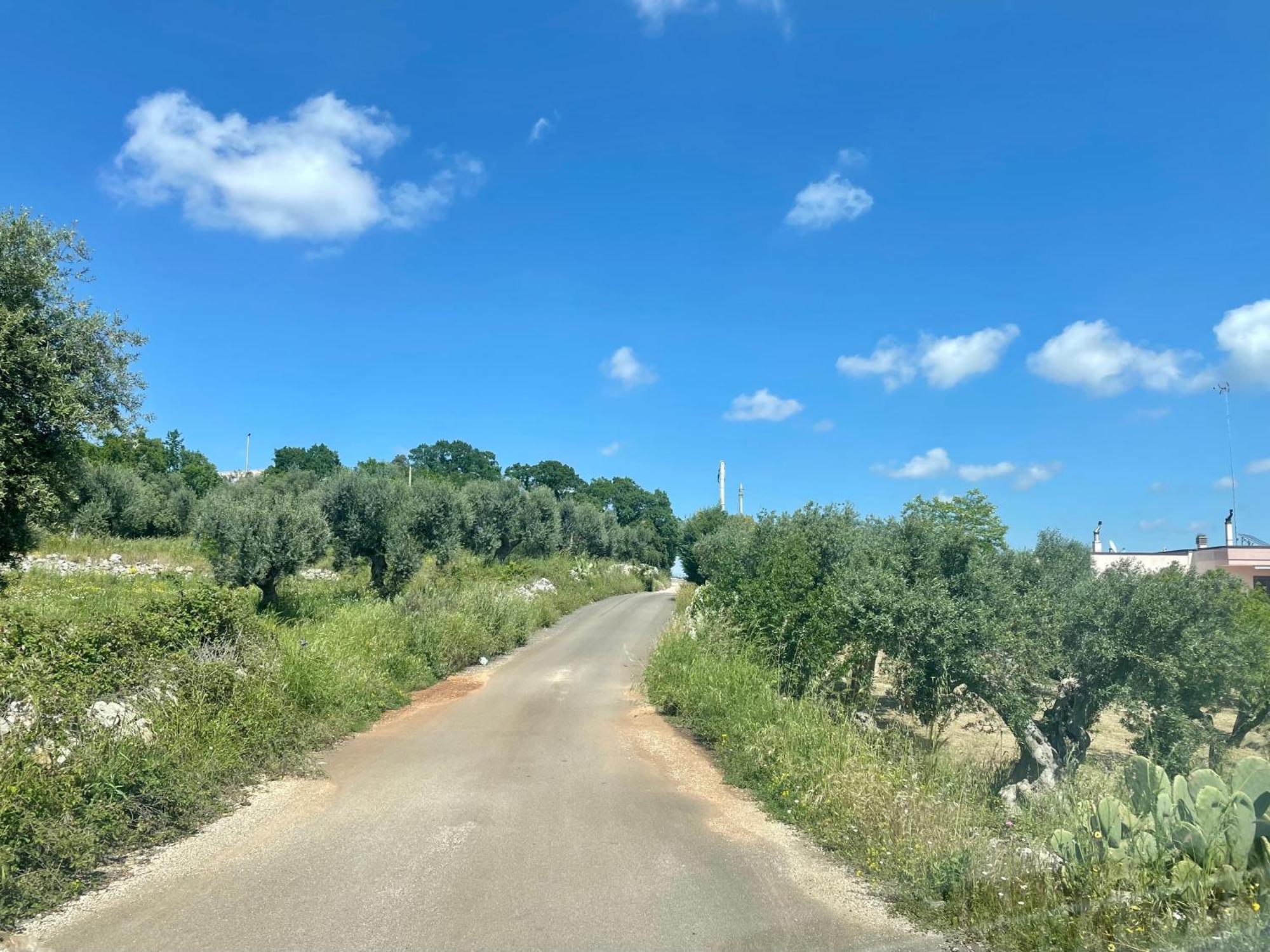 Music House A Castellana Grotte Confinante Via Per Turi 500M Dalle Grotte Eksteriør bilde